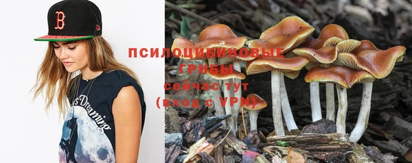 эйфоретик Балахна