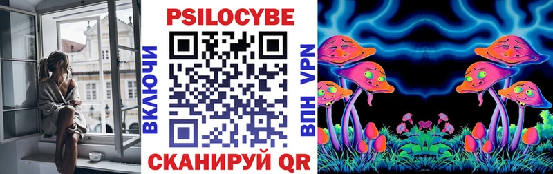 Купить  Мариинский Посад  Галлюциногенные грибы мицелий 